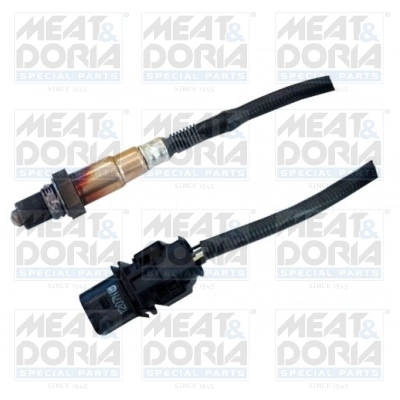 Oxygen Sensor